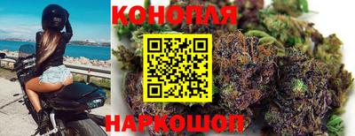 тгк Гусев