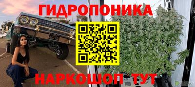 соль ск Гусь-Хрустальный
