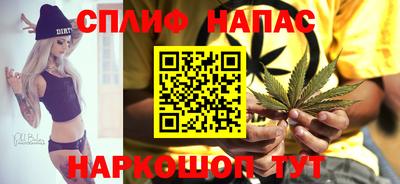 тгк Гусев