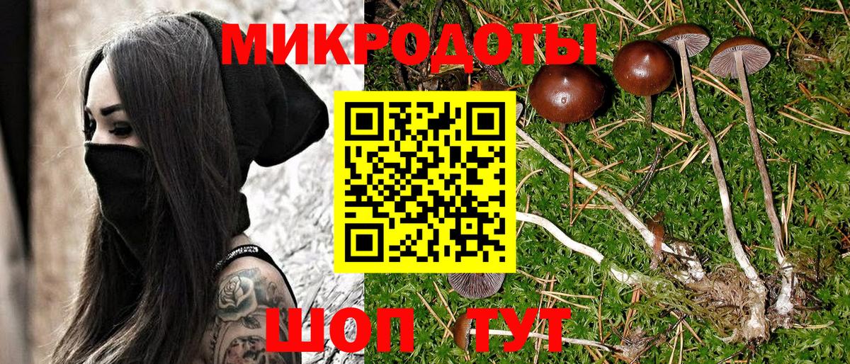 Галлюциногенные грибы прущие грибы  закладки  Галлюциногенные грибы Psilocybine cubensis  Лянтор  Вход с VPN 